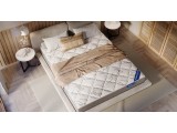Primula Lux купить