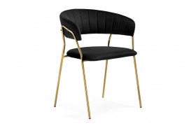 Распашной шкаф Kamelia 1 black / gold