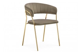 Шкаф-купе Kamelia 1 cappuccino / gold