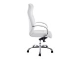 Osiris white / satin chrome распродажа