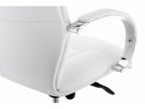 Osiris white / satin chrome фото
