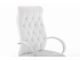 Osiris white / satin chrome распродажа
