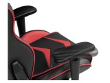 Racer черное / красное от производителя